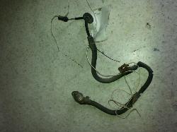 View Auto part Misc Nissan Skyline 1992