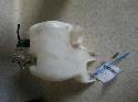 View Auto part Washer Bottle Subaru Forester 2000