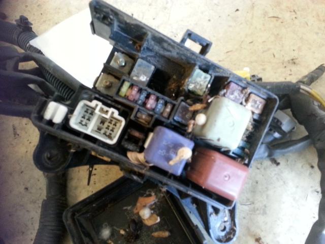 1999 Toyota Rav4 Fuse Box View Auto part Fuse Box Toyota Rav4 1999