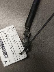 View Auto part Hatch Strut Toyota Echo 1999