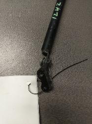 View Auto part Hatch Strut Toyota Echo 1999