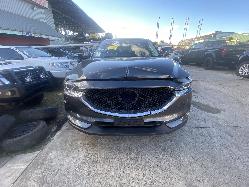 View Auto part Right Guard Mazda Cx5 2017