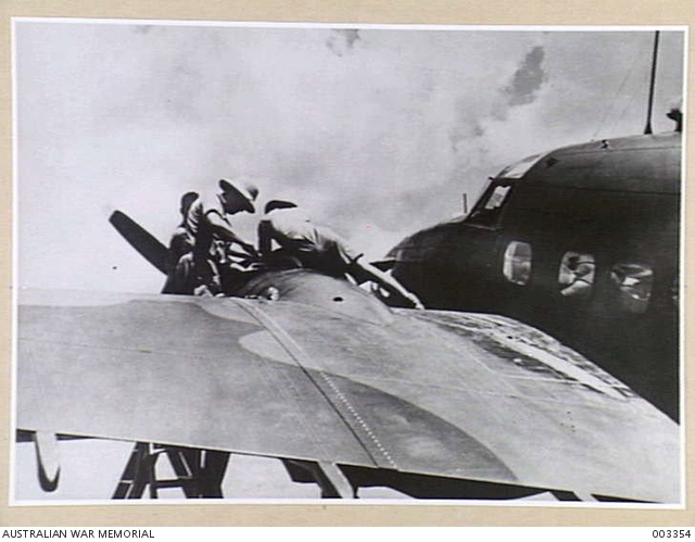 AGAINST A TROPICAL SKY RAAF MECHANICS MAKING A FINAL ADJUSTMENT ...