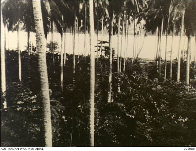 Survivors, passengers and crew from the British vessels Rangitane ...