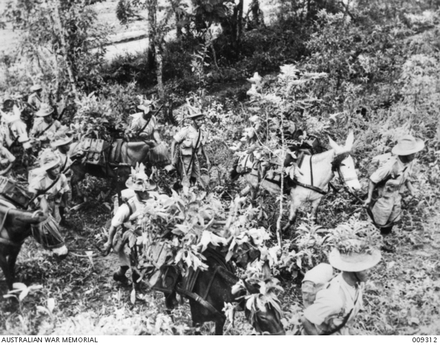 MEN OF THE BURMA RIFLES TRANSPORT AUTOMATIC WEAPONS THROUGH THE JUNGLE ...