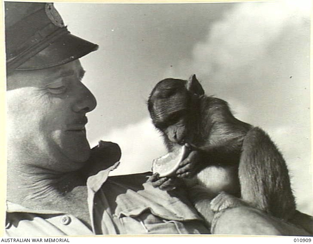 An unidentified airman from No 3 Squadron RAAF, based in the Western ...
