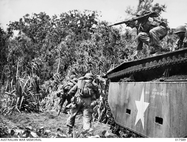New Guinea. Troop carrying US Army Alligator amphibious tracked