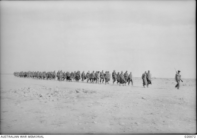 Italian prisoners, captured by the 2/48th Australian Infantry Battalion ...