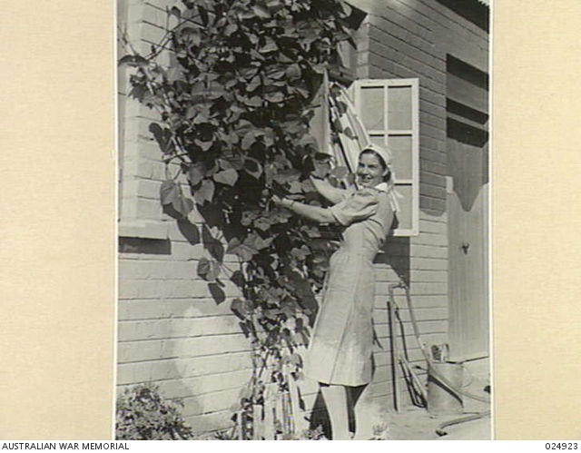 GAZA RIDGE, PALESTINE. 1942-08-30. V.A.D. FLORENCE OFFICER. OF GARAH, N ...