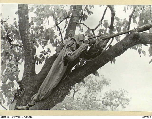 NORTHERN TERRITORY. 1942-11-06. CLOSE UP OF A SNIPER OF THE 23RD/21ST ...