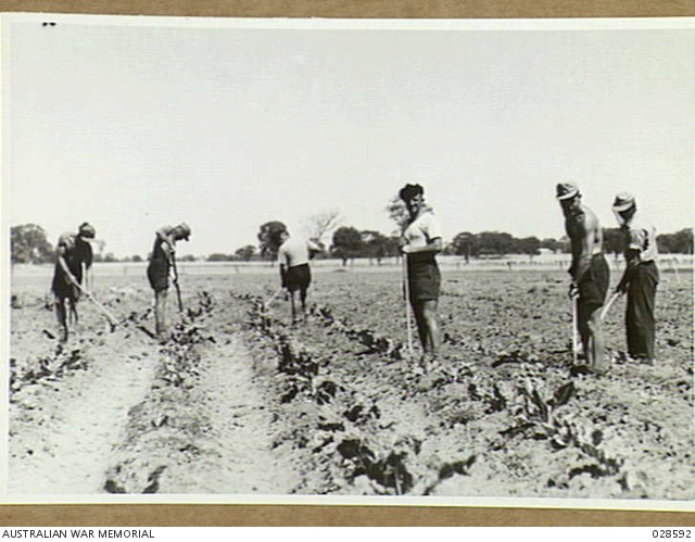 murchison-australia-1943-01-prisoners-of-war-interned-in-the-camps