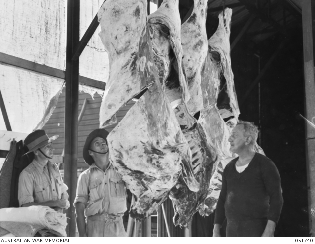 BROOME, AUSTRALIA. 1943-05-04. BEEF FOR THE ARMY. ARMY OFFICERS ...