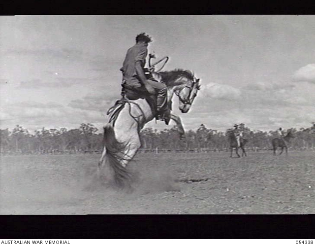 MOUNT GARNET, QLD. 1943-07-18. GOOD RIDING DURING THE 7TH AUSTRALIAN ...