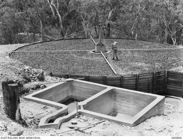 ROCKY CREEK, QLD. 1943-11-19. V375412 SAPPER E. DAVIS OF THE 3RD ...