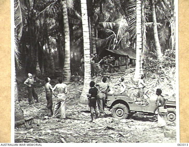 SIALUM, NEW GUINEA. 1944-01-07. A NATIVE BOY L1694 BALIS, THROWING DOWN ...