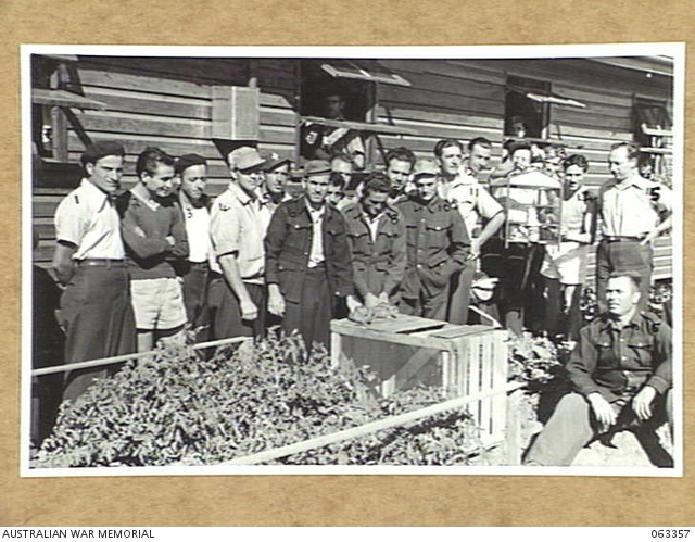 HAY, NSW. 1944-01-16. ITALIAN PRISONERS OF WAR AND THEIR PETS ...