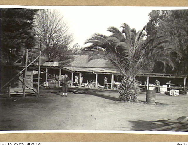 Collection Item C59453