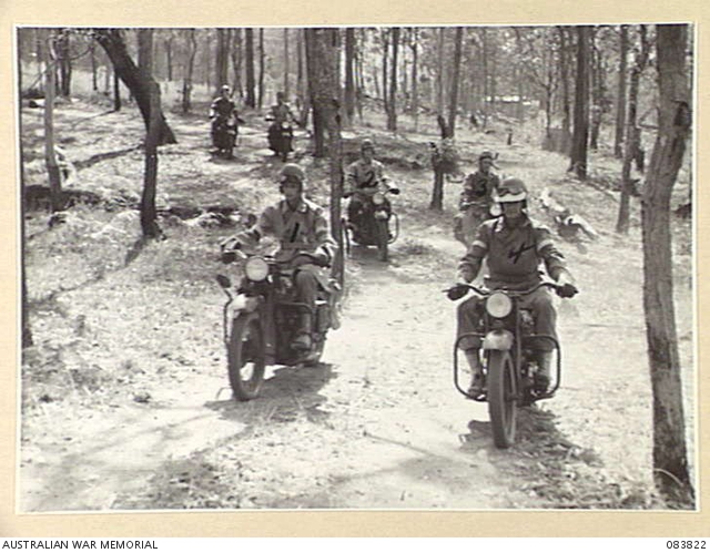 WONGABEL, ATHERTON TABLELAND, QUEENSLAND. 1944-11-22. DESPATCH RIDERS ...