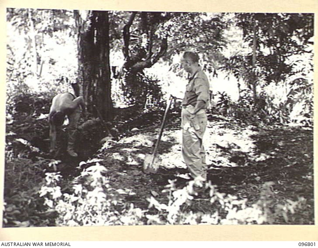RABAUL, NEW BRITAIN, 1945-09-15. JAPANESE TROOPS WERE USED TO PREPARE ...