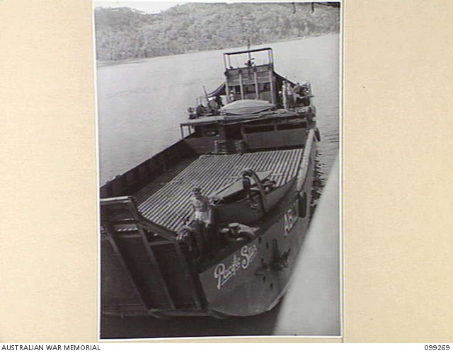 RABAUL, NEW BRITAIN, 1945-11-30. A SHIPMENT OF SHEEP ARRIVED ABOARD SS ...