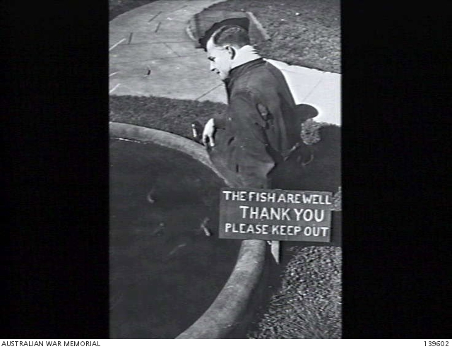 WARBURTON, VIC. 1943-09-10. SERGEANT R. W. RUST RAAF RELAXING BY THE ...