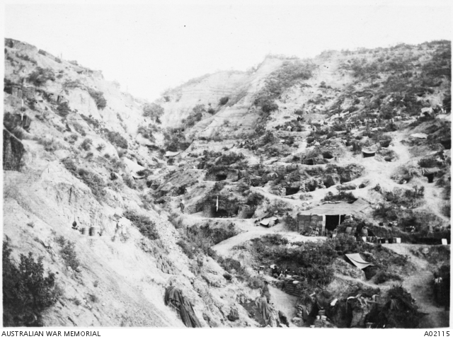 Dugouts on the slopes of Wire Gully. | Australian War Memorial