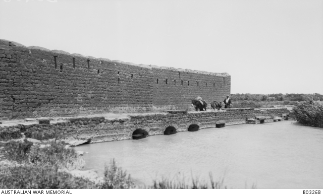 A local man with his two donkeys standing on the bridge over the ...