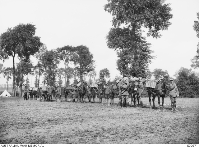 Loaded pack horses at the Australian Corps Pack Training School ...