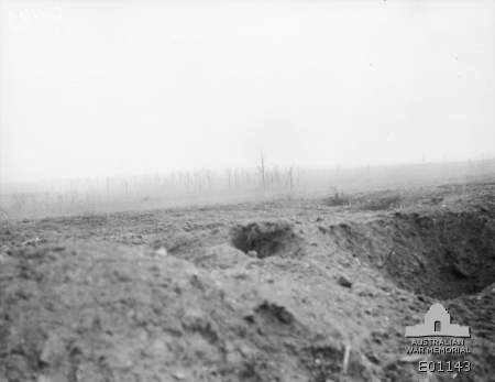 A foggy morning view of Decoy Wood (on the left) and Busy Wood, on ...