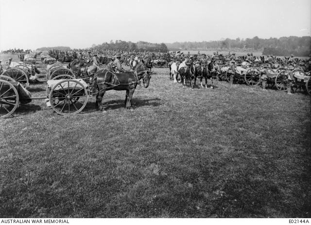 Transport unit of the 9th Australian Machine Gun Company, in review ...