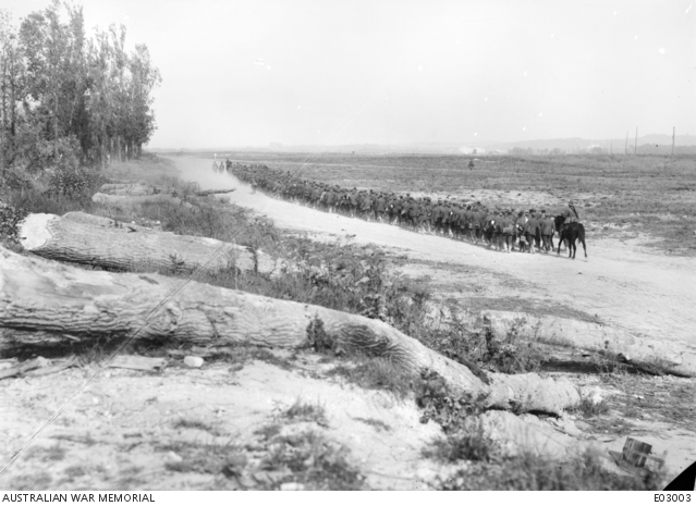 A large group of German prisoners, on their way to the compound, being ...