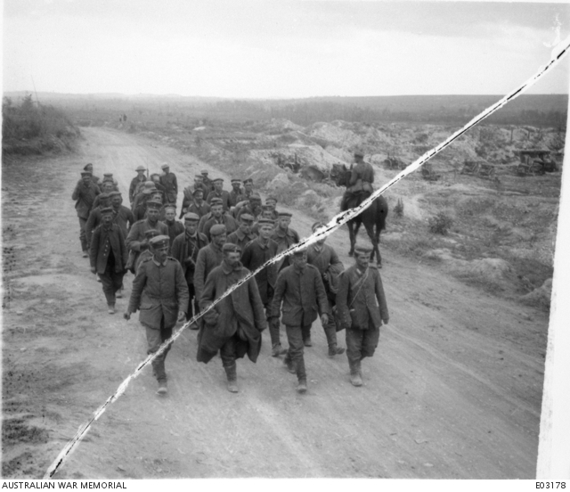 Prisoners, captured by the 10th Australian Infantry Brigade, coming up ...