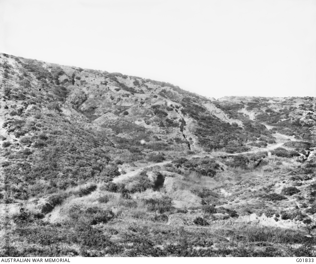Wire Gully with German Officer's Trench on right and Johnston's Jolly ...