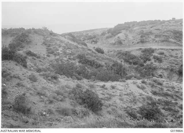 Gully erosion may be slowed or stopped image