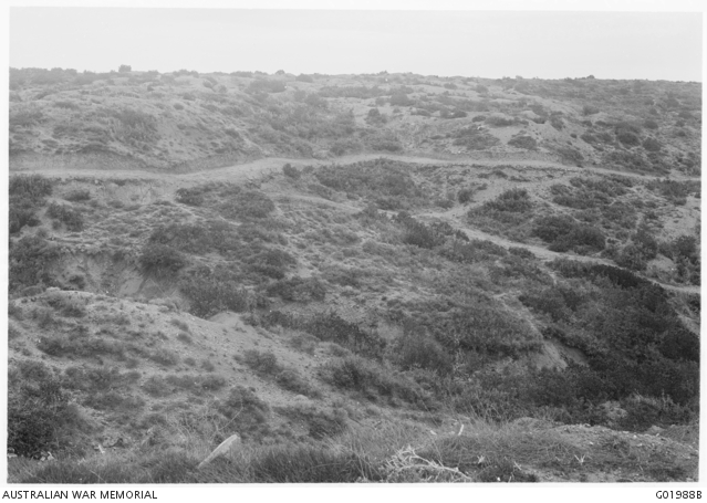 View from the trenches east of Johnstone's Gully at the edge of Wire ...