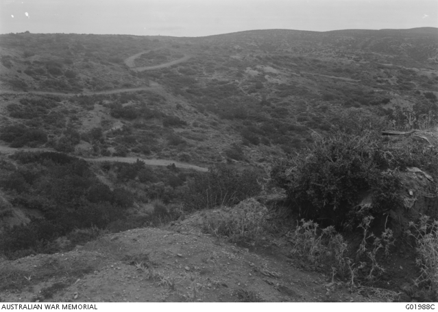 View from the trenches east of Johnstone's Gully at the edge of Wire ...