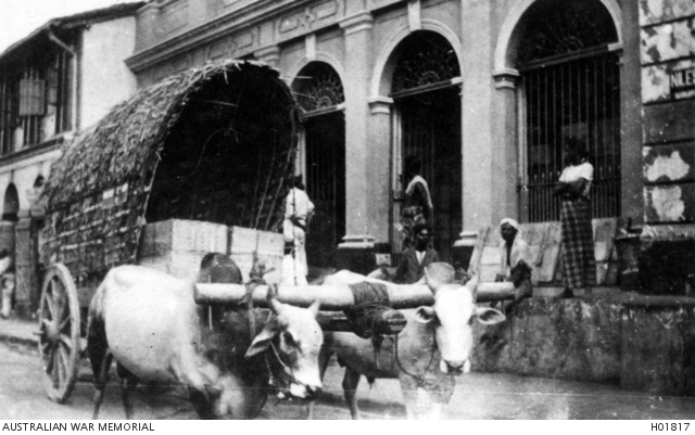 COLOMBO, CEYLON. 1919. A TYPICAL STREET SCENE INCLUDING AN OX CART ...