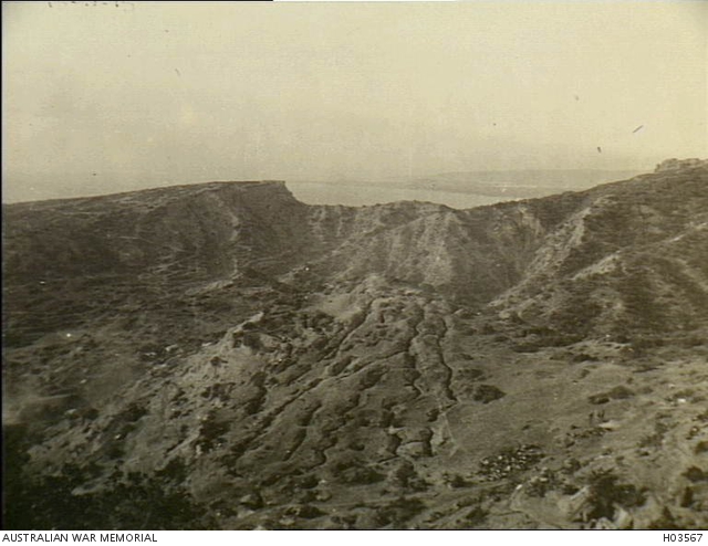 The area between McCay's Hill and Wire Gully looking north ...