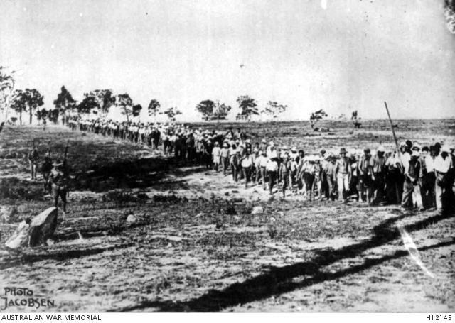 HOLSWORTHY, NEW SOUTH WALES. C. 1916. YUGO SLAV INTERNEES UNDER ...
