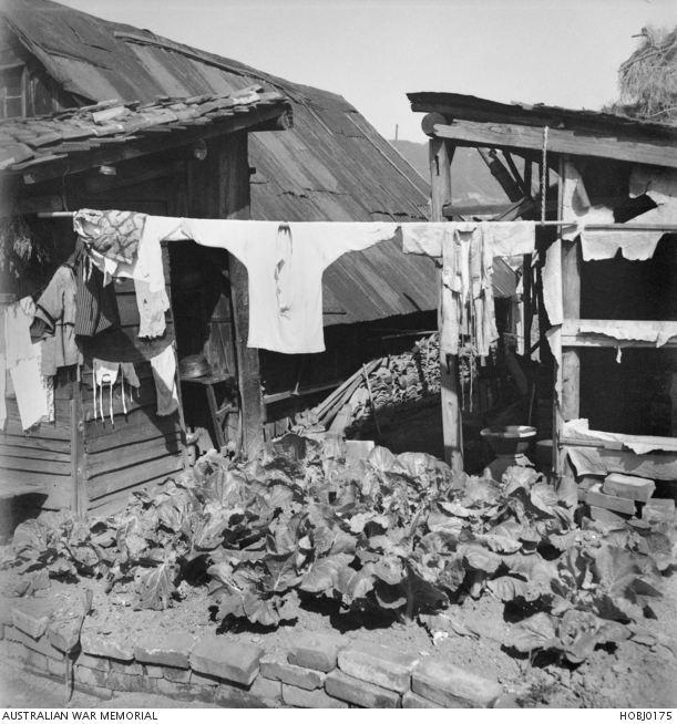 A farmers shack made from second hand building materials outside