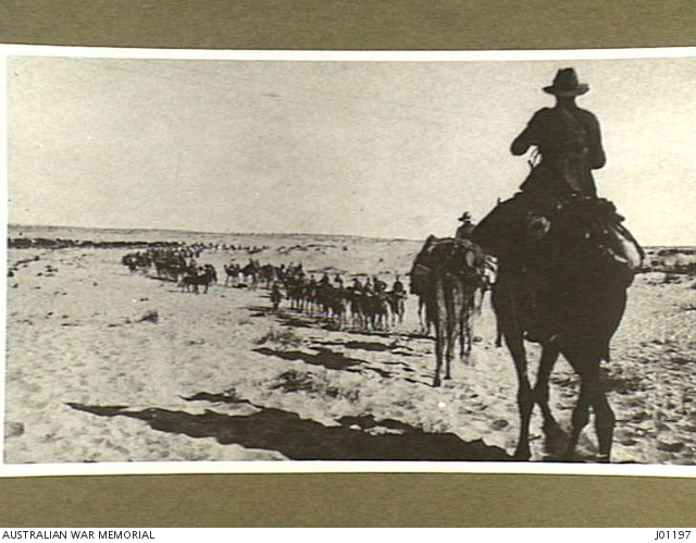 The Australian Light Horse Camel Corps on the move. | Australian War ...