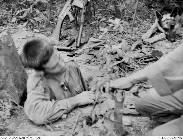 A Sapper of 3 Field Troop emerges from a Viet Cong (VC) tunnel by way ...