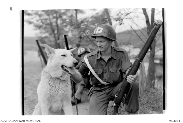 13571 Private (Pte) William (Bill) Kenneally of Clontarf, Brisbane, Qld ...