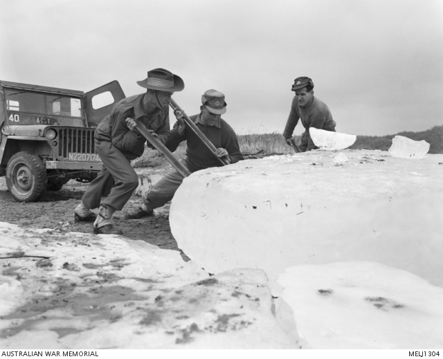 Three soldiers of the 1st Battalion, The Royal Australian Regiment ...
