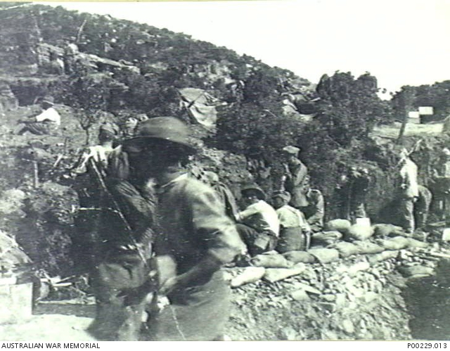 gallipoli-1915-view-of-allied-trenches-troops-and-turkish-prisoners