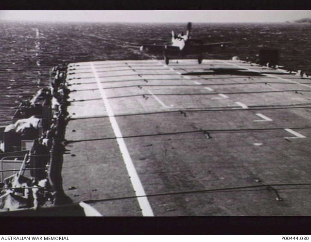 KOREA 1953. A FAIREY FIREFLY AIRCRAFT SHOWN LANDING ON HMAS VENGEANCE. ARRESTOR CABLES CAN BE ...