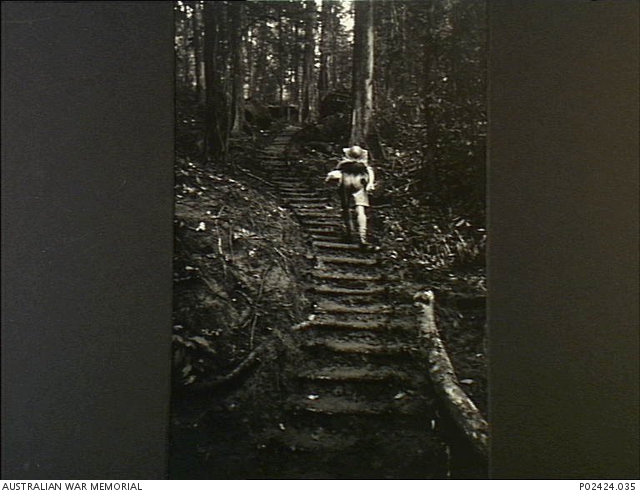Imita Ridge, Papua, 1942-10. Carrying a full pack on his back, VX39117 ...
