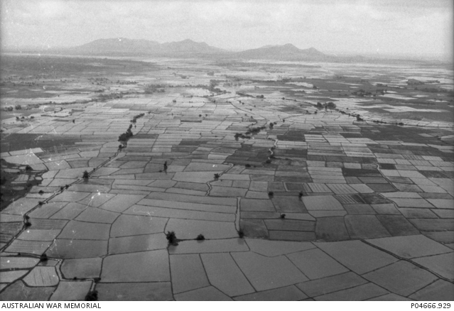 161 (Independent) Reconnaissance Flight. | Australian War Memorial