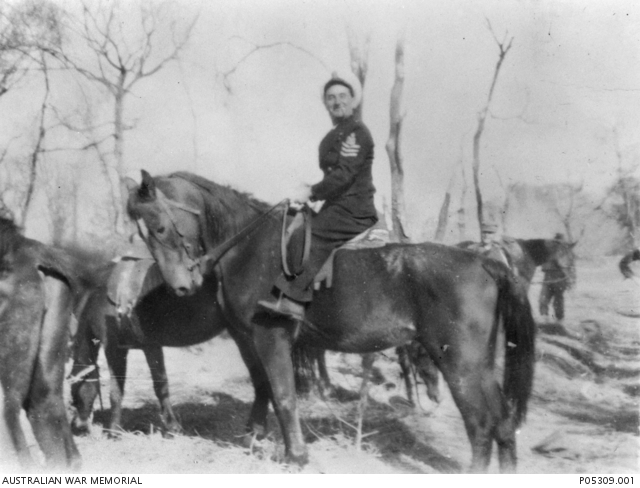 Informal portrait of the Buffer (senior non commissioned sailor) of ...
