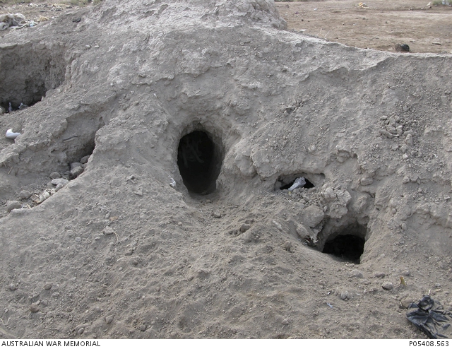 Holes dug into the side of a dirt mound, used as dens by dogs. At the ...
